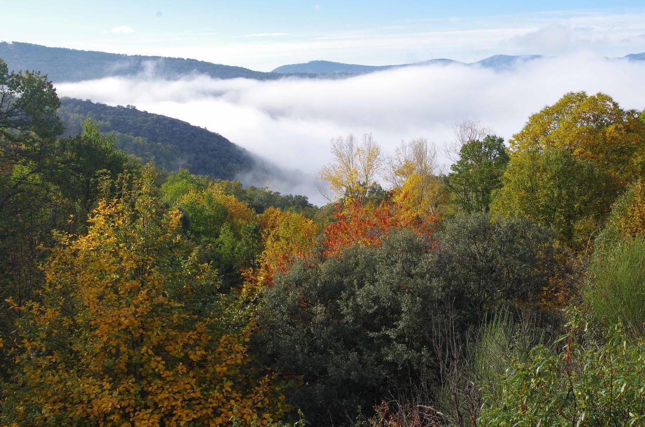 Apartamentos Sierra De Francia Monsagro Luaran gambar