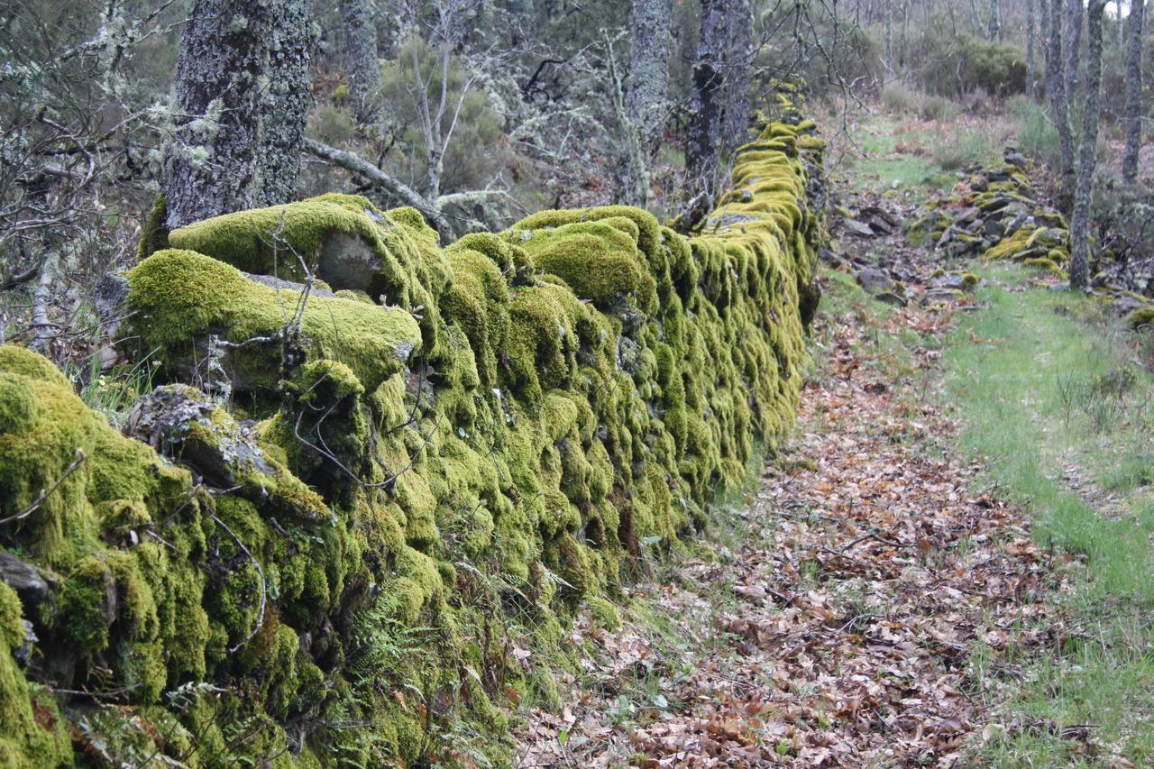 Apartamentos Sierra De Francia Monsagro Luaran gambar